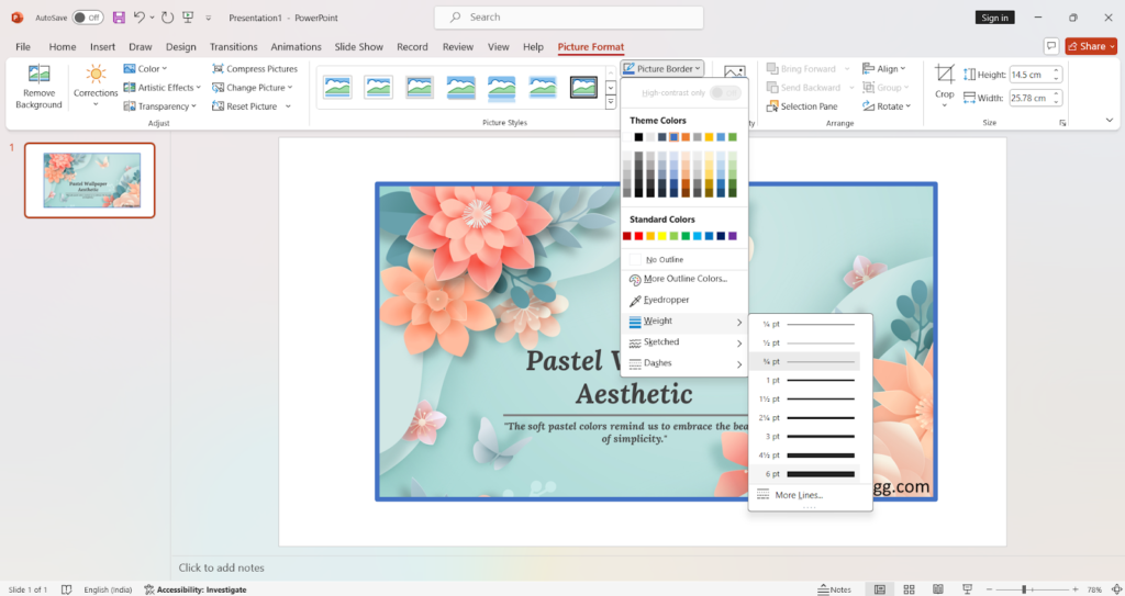 Adding & customizing a picture's border in MS PowerPoint. Select Picture Format < Picture Border for color & weight options.