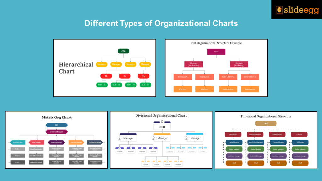 Overview of hierarchical, matrix, divisional, flat and functional organizational charts.