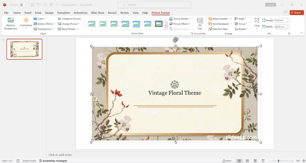 Picture format tab with a pack of picture editing tools in Microsoft PowerPoint for editing pictures.