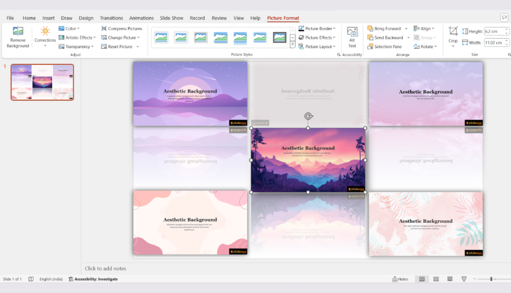 Multiple picture layouts selected in PowerPoint. Picture Format pane open with options, Picture Effects, Picture Styles, etc.