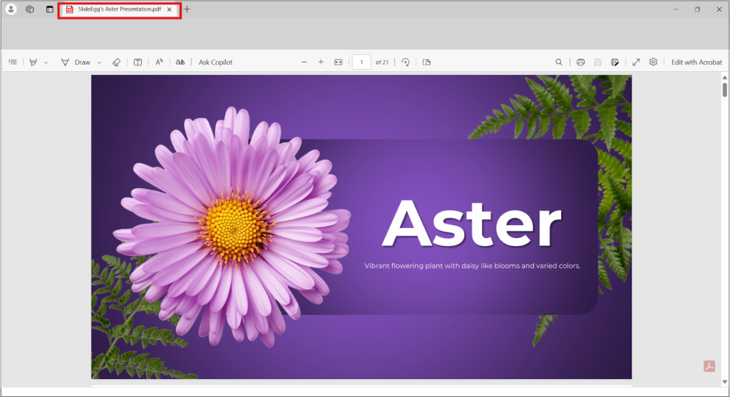 Purple aster flower on a sleek presentation layout with text. PowerPoint slide saved as a PDF file.