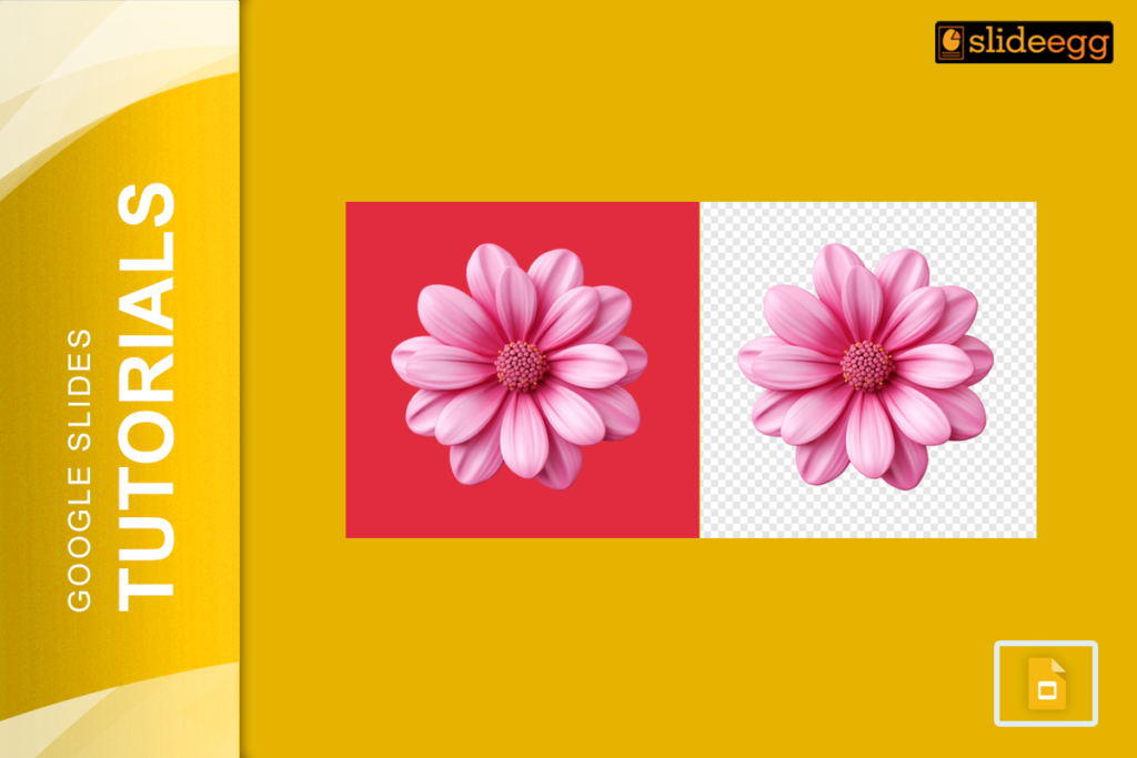 Pink flower on a red background and a transparent background, represents removing background from an image in Google Slides.