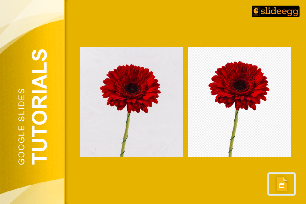 Google Slides background removal tutorial: Red flower with and without background.