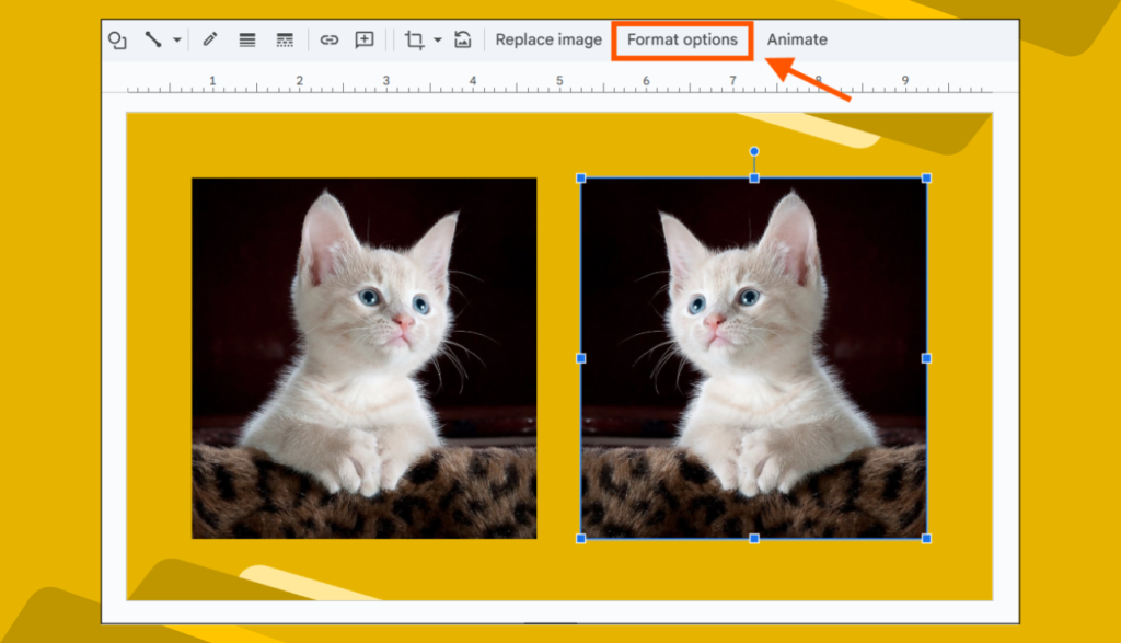 Format Options in Google Slides