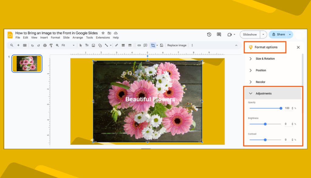 Google Slides context menu showing Format Options>Adjustments over an image of pink and white flowers.