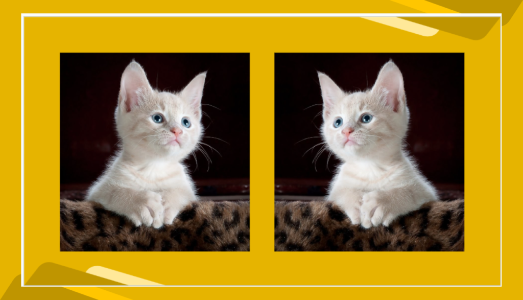 Mirror Image in Google Slides