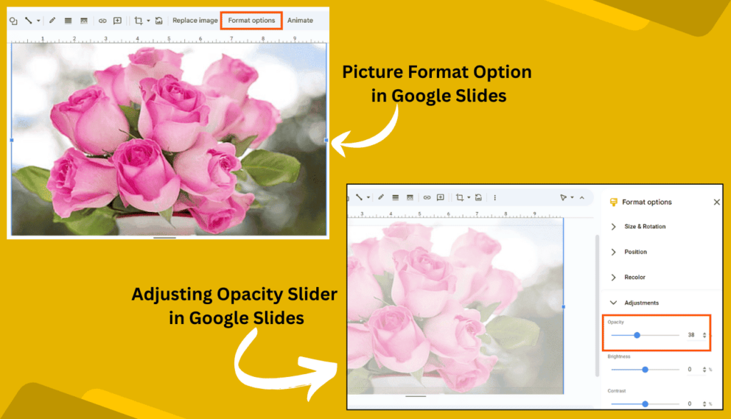 Format Picture and Adjusting Opacity Option in Google Slides