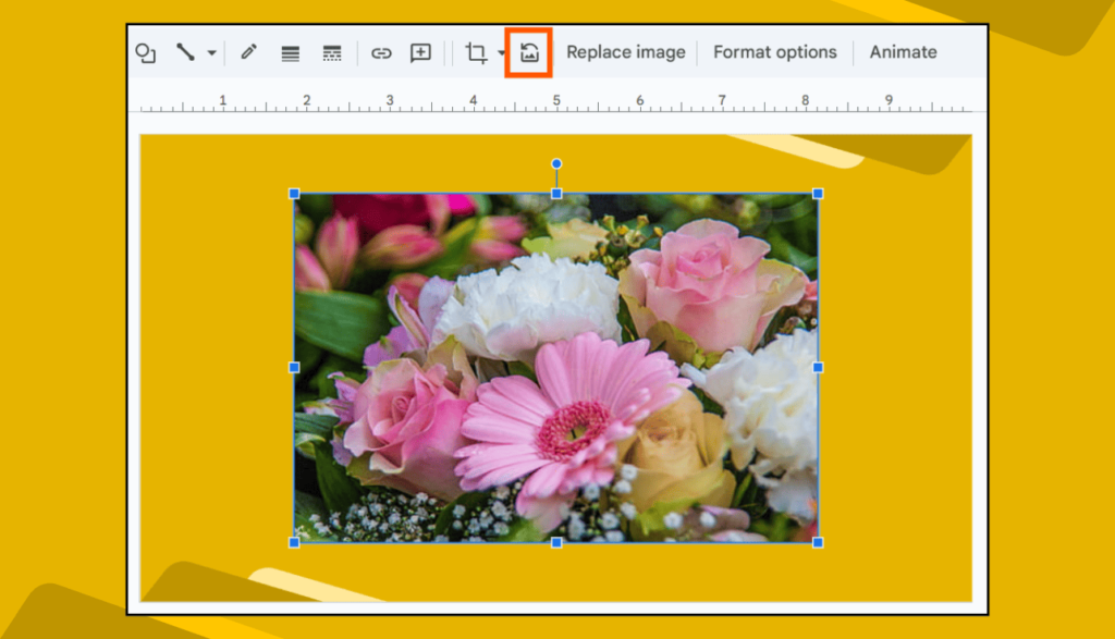 Reset Image Options in Google Slides