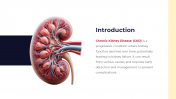 00833-Chronic-Kidney-Disease_02