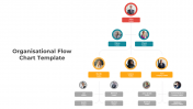 Organizational Flow Chart PowerPoint And Google Slides