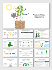 Editable Photosynthesis Infographic PPT And Google Slides