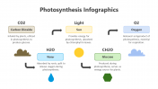 200798-Photosynthesis-Infographic_02