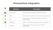 200798-Photosynthesis-Infographic_03