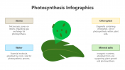 200798-Photosynthesis-Infographic_05