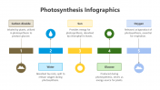 200798-Photosynthesis-Infographic_06