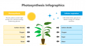 200798-Photosynthesis-Infographic_07