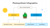 200798-Photosynthesis-Infographic_08