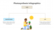 200798-Photosynthesis-Infographic_11