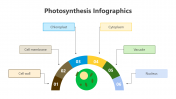 200798-Photosynthesis-Infographic_12