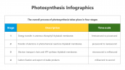 200798-Photosynthesis-Infographic_13