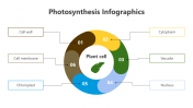 200798-Photosynthesis-Infographic_14