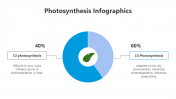 200798-Photosynthesis-Infographic_15