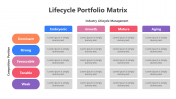 200865-Lifecycle-Portfolio-Matrix_03