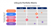 200865-Lifecycle-Portfolio-Matrix_04