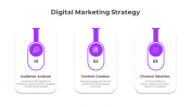 Easy To Customize Digital Marketing Strategy PowerPoint