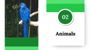 300024-International-Animal-Rights-Day_10