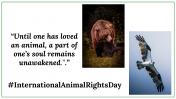 300024-International-Animal-Rights-Day_29