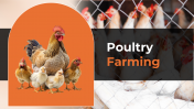 300857-Poultry-Farming_01