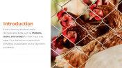 300857-Poultry-Farming_02