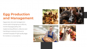 300857-Poultry-Farming_06