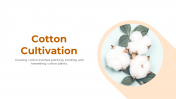 Editable Cotton Cultivation PowerPoint And Google Slides