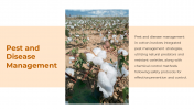 300880-Cotton-Cultivation_08