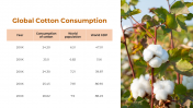 300880-Cotton-Cultivation_09