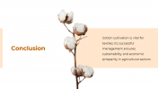 300880-Cotton-Cultivation_10