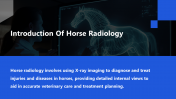 300919-Horse-Radiology_02