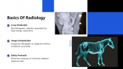 300919-Horse-Radiology_03