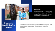 300919-Horse-Radiology_07