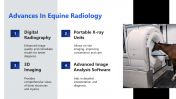 300919-Horse-Radiology_09