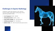 300919-Horse-Radiology_12