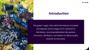 400903-Supply-Chain-For-Grapes-Production_02