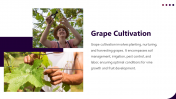 400903-Supply-Chain-For-Grapes-Production_05