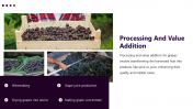 400903-Supply-Chain-For-Grapes-Production_08