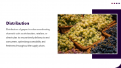 400903-Supply-Chain-For-Grapes-Production_09