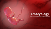 500757-Embryology_01