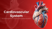 Elegant Cardiovascular System PPT And Google Slides Themes