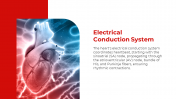 500801-Cardiovascular-System_08